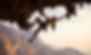 Kalymnos_Isle_Greece_climber.jpg