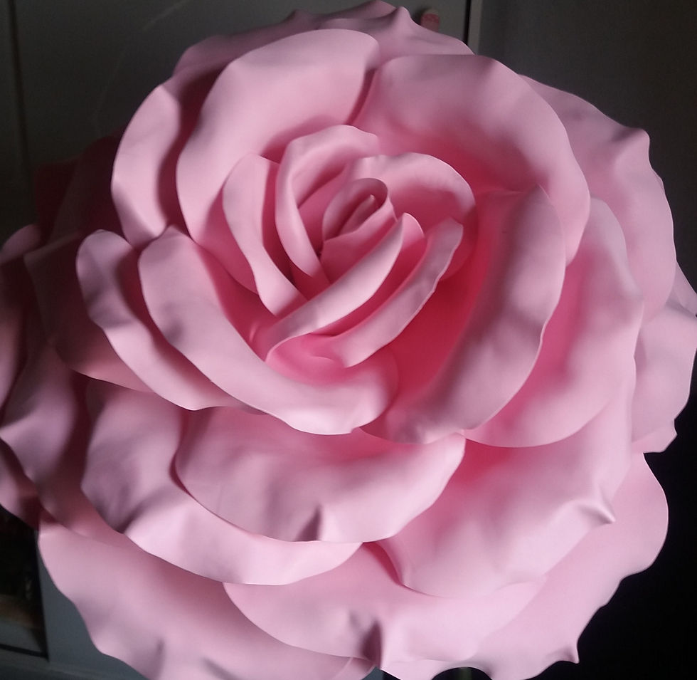 20210928_145429_edited_edited.jpg