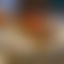 Roasted Veggie Sandwiches