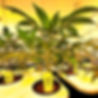 A8198931-5D42-4626-9D45-9E6C8B727FFB_edited.jpg