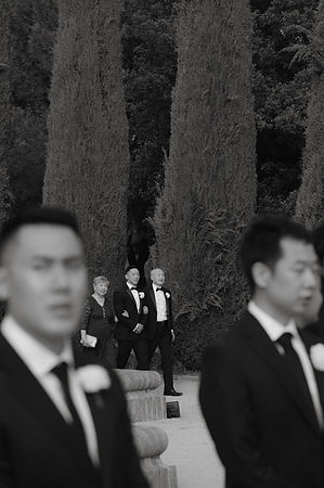 0428- Christine & Bliss-1.jpg