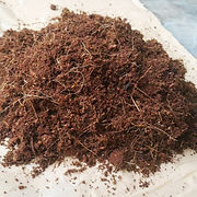 Cocopeat
