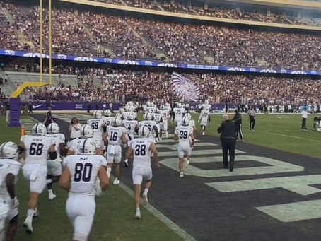 From Emotions to Essentials: What to Really Look For on a Game Day Visit