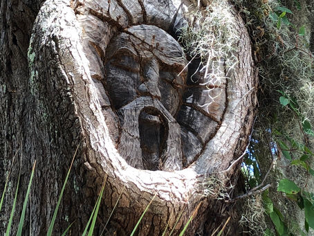 Tree Spirits of St. Simons Island