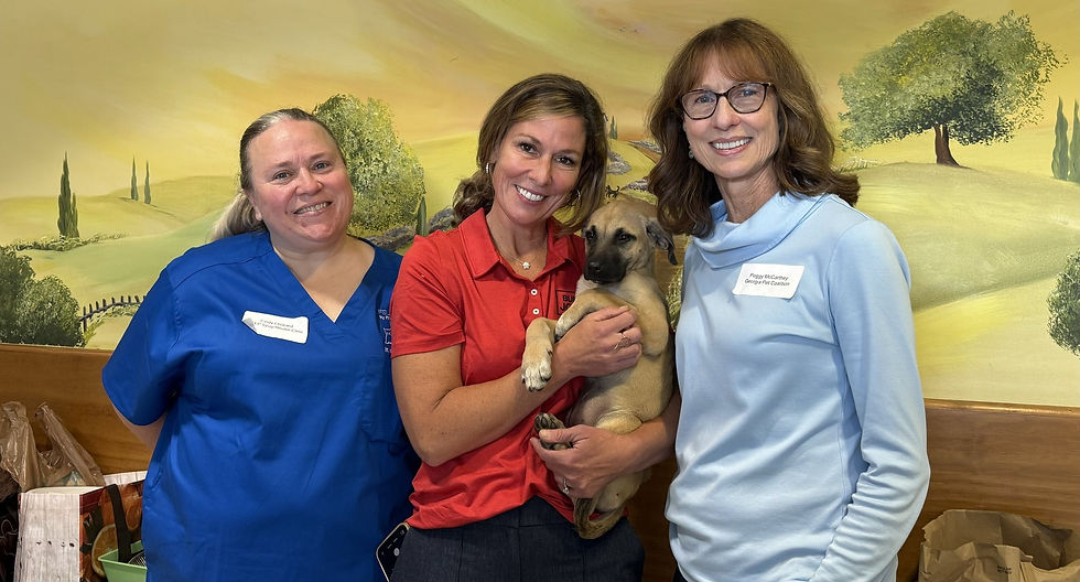 Left to right: Cindy Leopard, Executive Director, HELP Spay/Neuter Clinic; Georgia Second Lady Jan Jones; Nova the adoptable dog; and Peggy McCarthey, board director and volunteer, GA Pet Coalition.