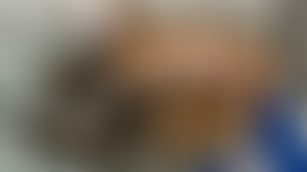 GA Pet Coalition Works with Local Governments to Make it Easier to Enforce New State Law