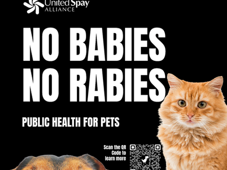 World Rabies Day is Sept. 28th: No Babies. No Rabies.