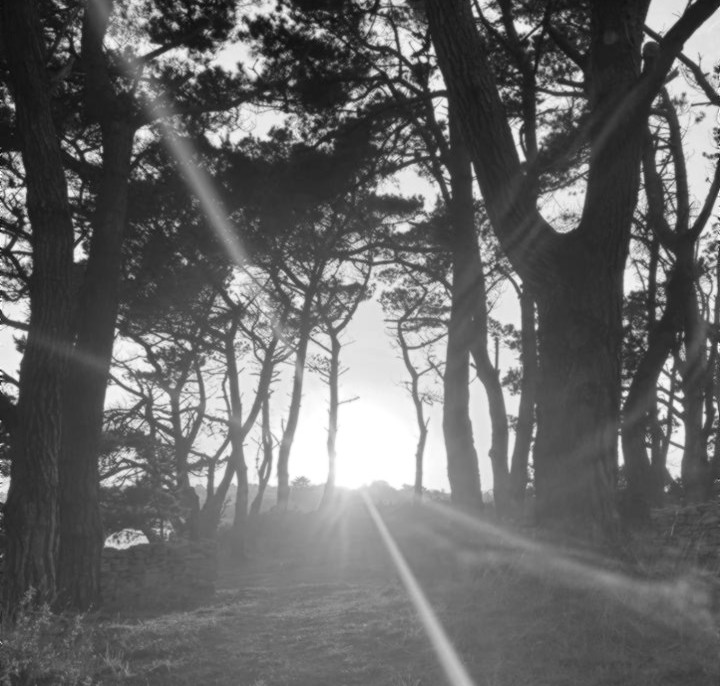 Wellness Retreats in France