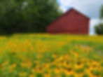 Red Barn Butterfly Hotspot at Lake Charleston