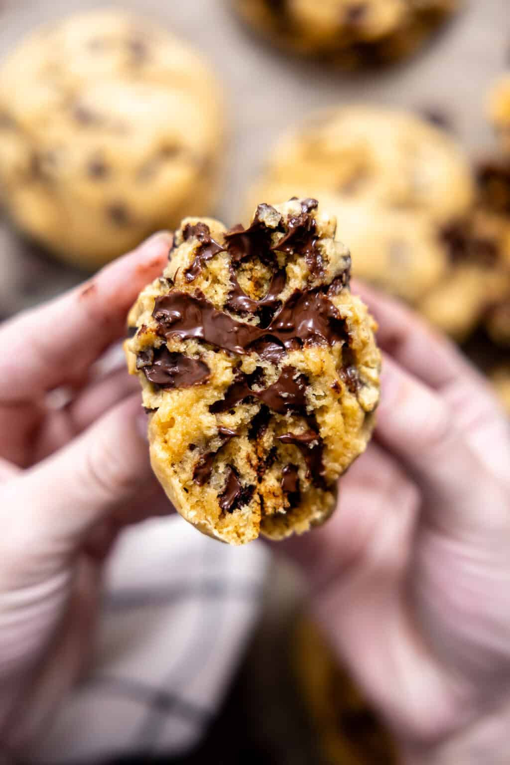 Chocolate Chunk Cookie