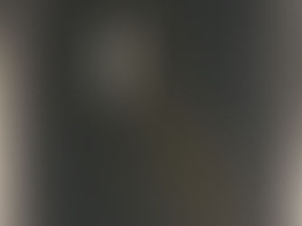 The Reflection Collection: where you become part of the art