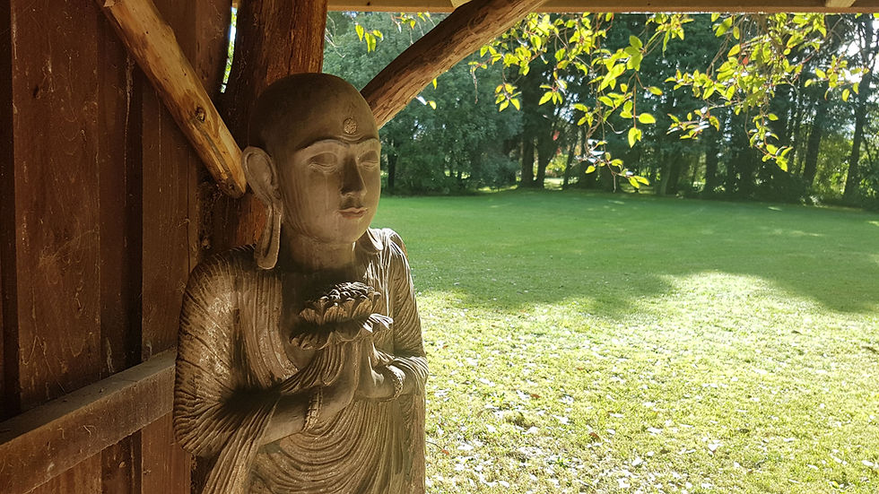 The Heart of Awareness - 8 Weeks Meditation Course