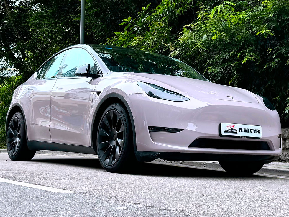 縮圖：2021 TESLA MODEL Y LR(LONG RANGE)