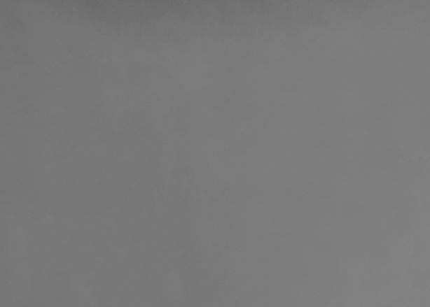 Greyed Background.png