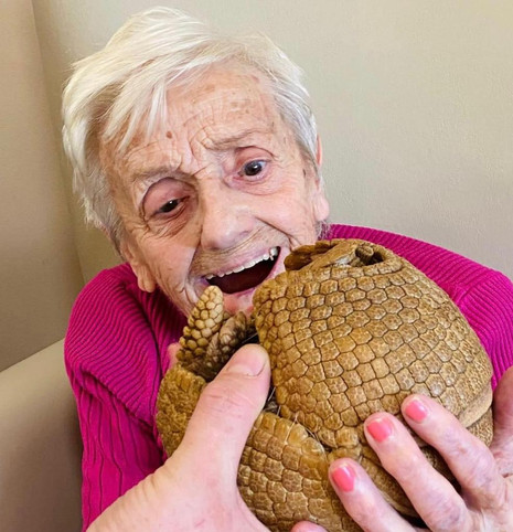 A lady is pictured smiling at Arthur the armadillo who is rolled up in a ball.