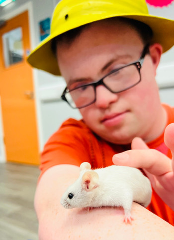 An explorer meets Stuart Little at his group session.
