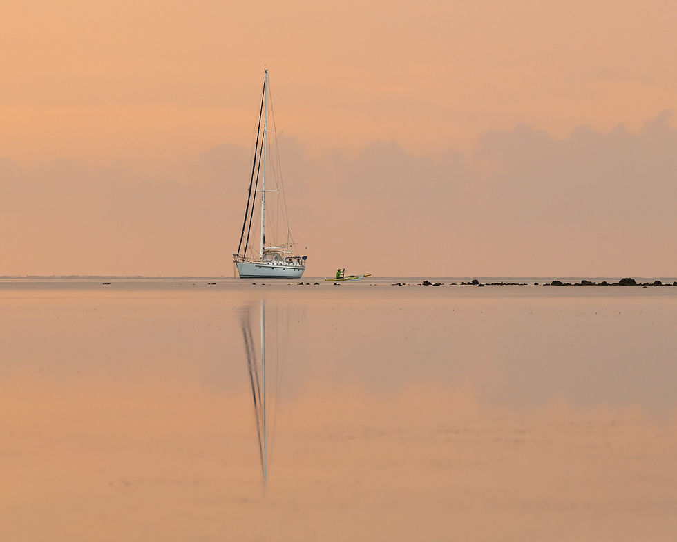 JAX_0308.jpg