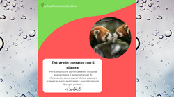 3 cliente