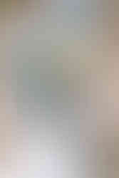 tenue mariage hiver bouquet de fleurs