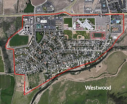 Westwood_edited_edited.jpg