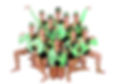 205A3633.JPG