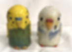 Budgie Nana and Yuki