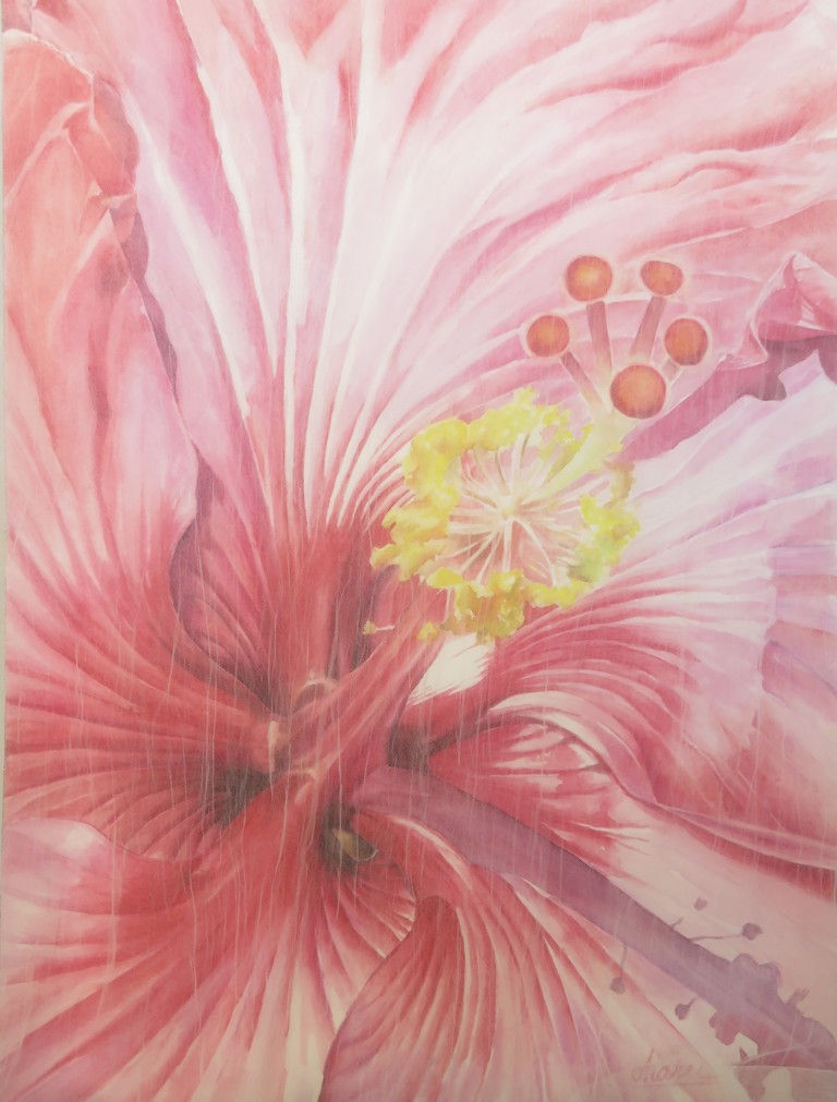Hibiscus_Water color on Paper with organdie 24x18in