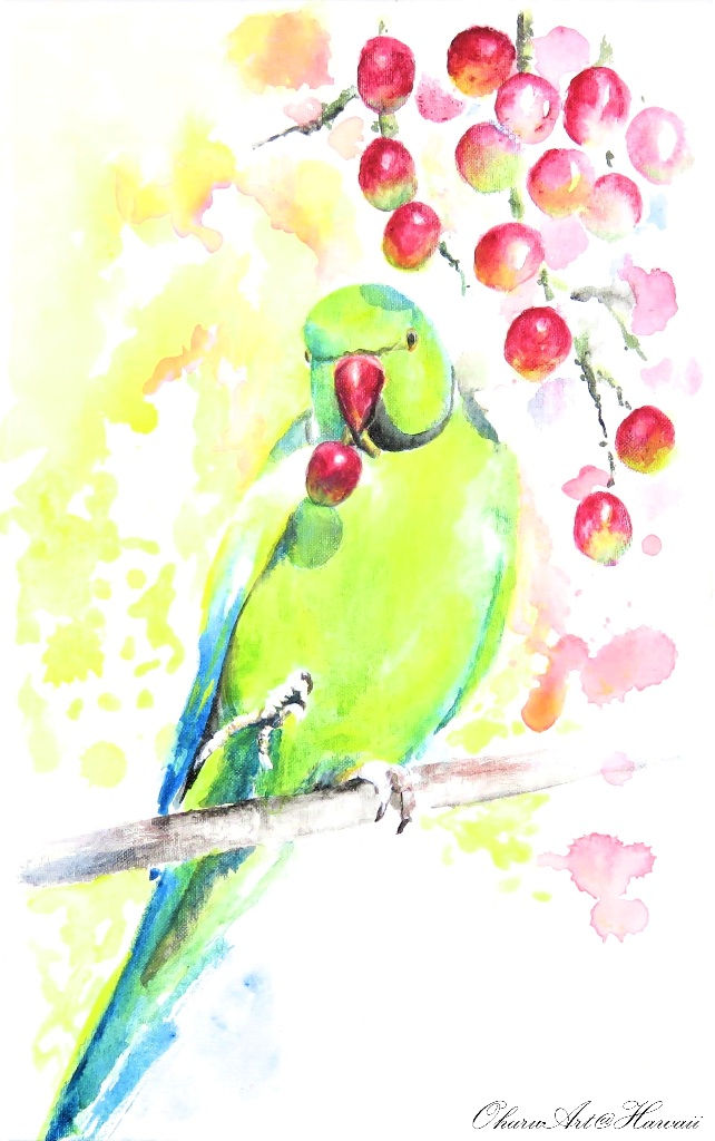 Ring necked parakeet _Acrylic on Canvas 16x10in