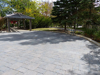 P1000984s.jpg