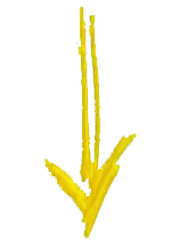 Mentalmagier engagieren