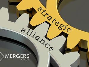Is a merger with a strategic partner a good exit strategy?