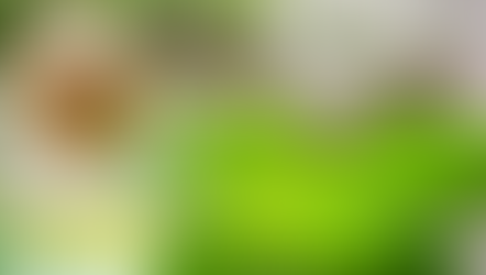 Les Alternatives Naturelles aux Antalgiques pour Soulager les Douleurs de l’Endométriose