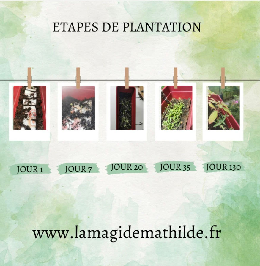 Miniature : réussir sa vie