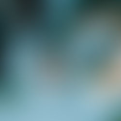 Wedding Celebration at The Trellis | Zoe + Schuyler