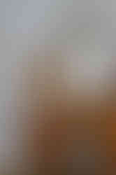 Wedding at The Old Springhouse