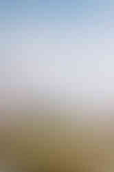 Wedding at The Old Springhouse