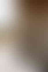 Wedding at The Old Springhouse