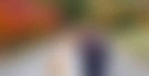 Wedding at The Old Springhouse