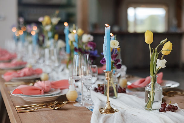 reitano_sarahdodgephotography-4112.jpg