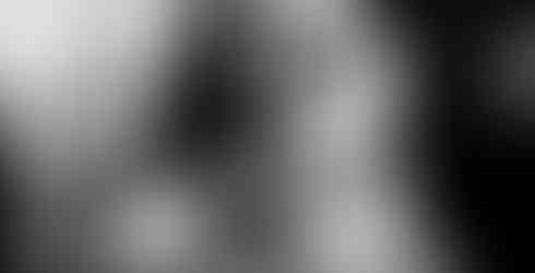 Wedding at The Old Springhouse