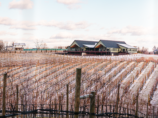 A Message From Shelly Cook — 1/12/26