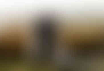 wedding at the trellis