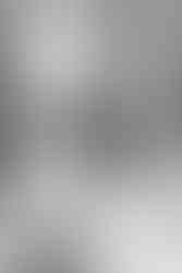 Wedding at The Old Springhouse