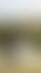 Wedding at The Old Springhouse