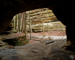 matthiessen_DSC01868.JPG