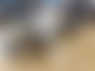 うめちゃんタイム②