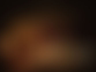 19 de agosto - Dia do Historiador