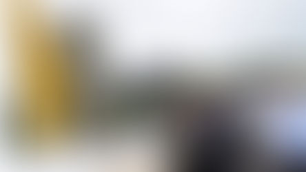 A Descaracterização do Monumento da Saga Grapiúna