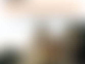 Professor Rinaldo Leite faz conferência sobre Memória e Identidade no IGHB