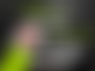 A participação de Floriano Peixoto no limiar da República é tema de palestra nesta segunda (13 nov)